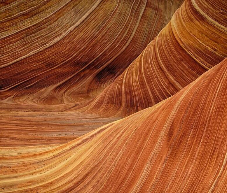 Lorem ipsum dolor sit amet